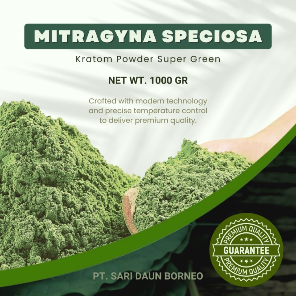 Bubuk herbal alami teh hijau Kalimantan, Teh hijau Kalimantan, Mitragyna Speciosa, Sari Daun Borneo,