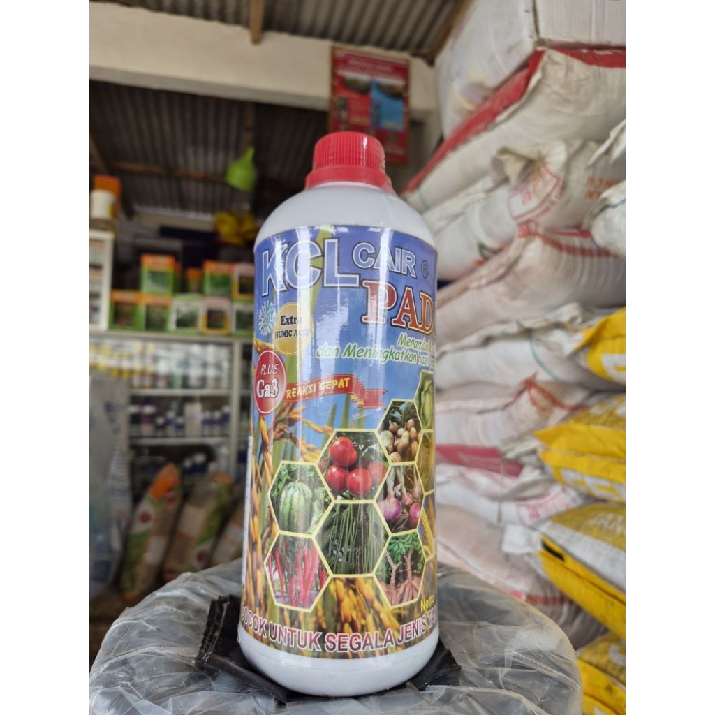 Pupuk Cair KCL CAIR PADI 1L - Kandungan Lengkap Untuk Semua Jenis Tanaman | REAKSI CEPAT