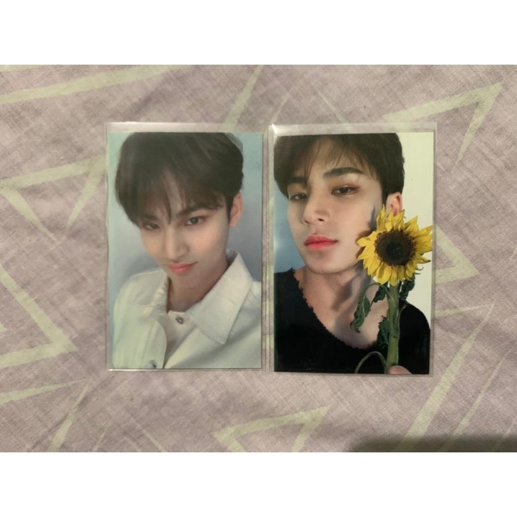 GONGBANG BROADCAST BCPC GB SEVENTEEN MINGYU RARE HD SUNFLOWER HOME BUNGA MATAHARI NOOT NOOT