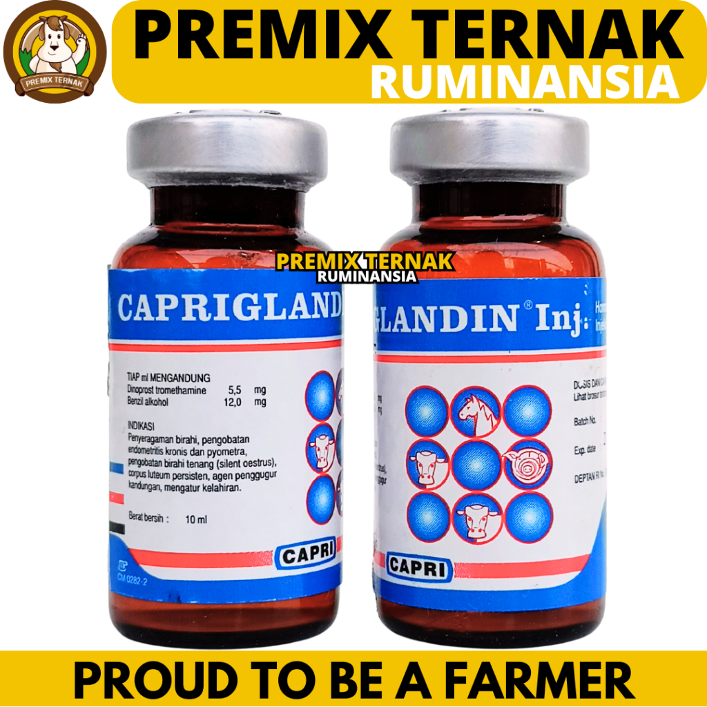 CAPRIGLANDIN INJ 10 ml - Hormon Sinkronisasi Estrus Sapi Kambing Domba Kuda Babi