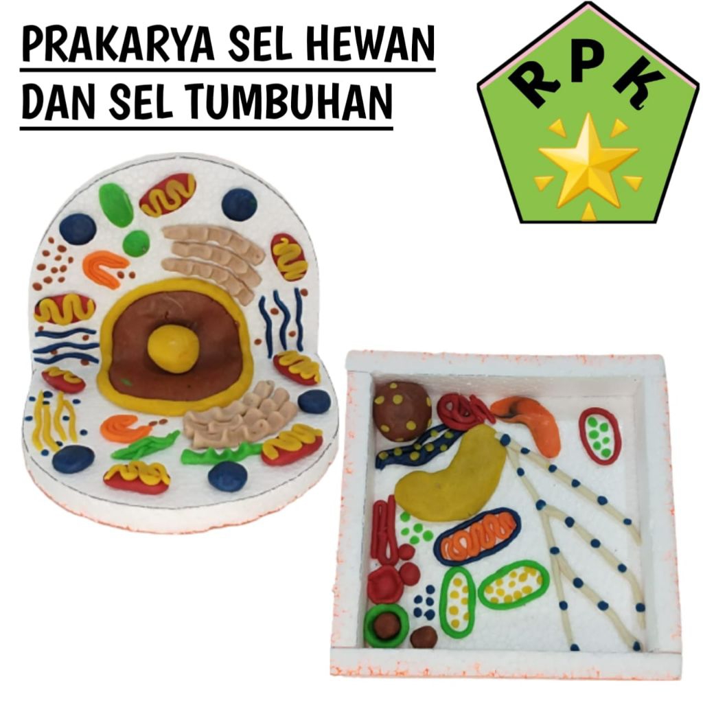SEL HEWAN DAN SEL TUMBUHAN PRAKARYA