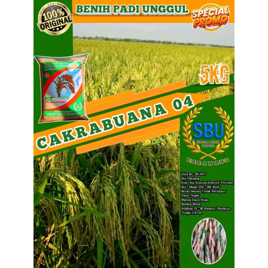 Benih Padi Unggul Cakrabuana 04 Original 5kg