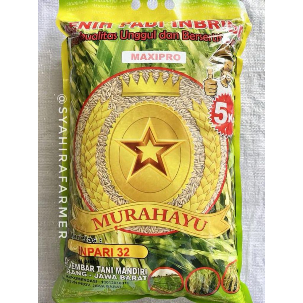 BENIH PADI INPARI 32 SUBANG PREMIUM CAP MAXIPRO NETTO 5 KG