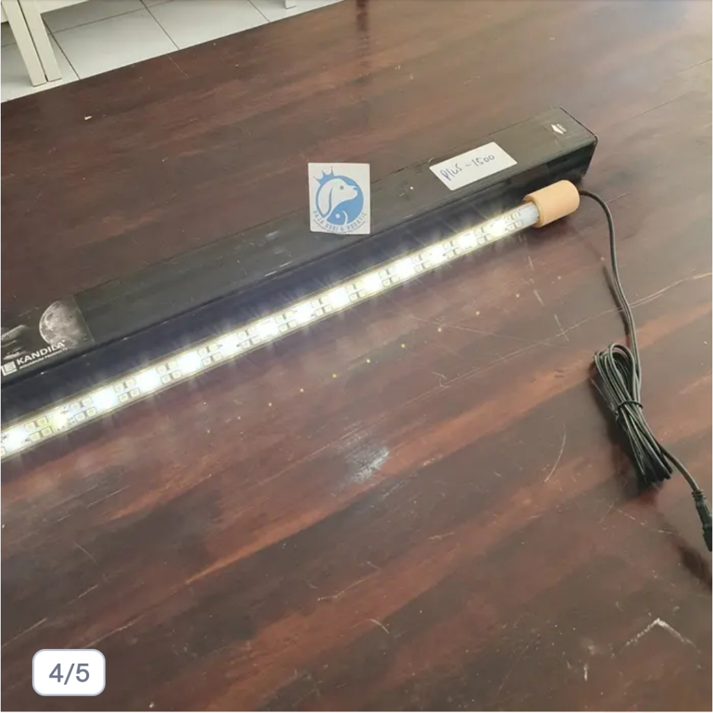 KANDILA PRO RED PLUS 1000 LED DAY AND NIGHT TANNING VIEW LAMPU LED