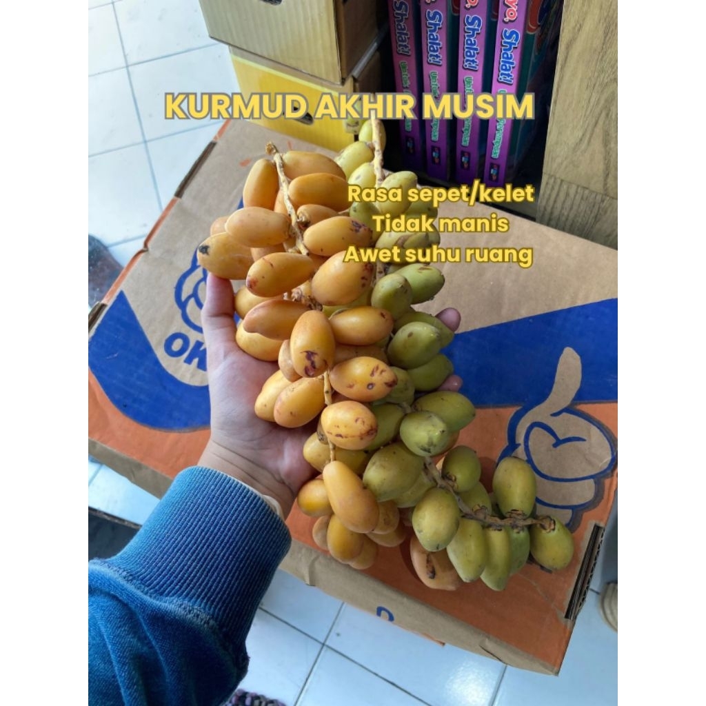 Kurma Muda Segar 1 ( SaTu ) kg  kurma muda promil / kurmamuda By Tinaashop123