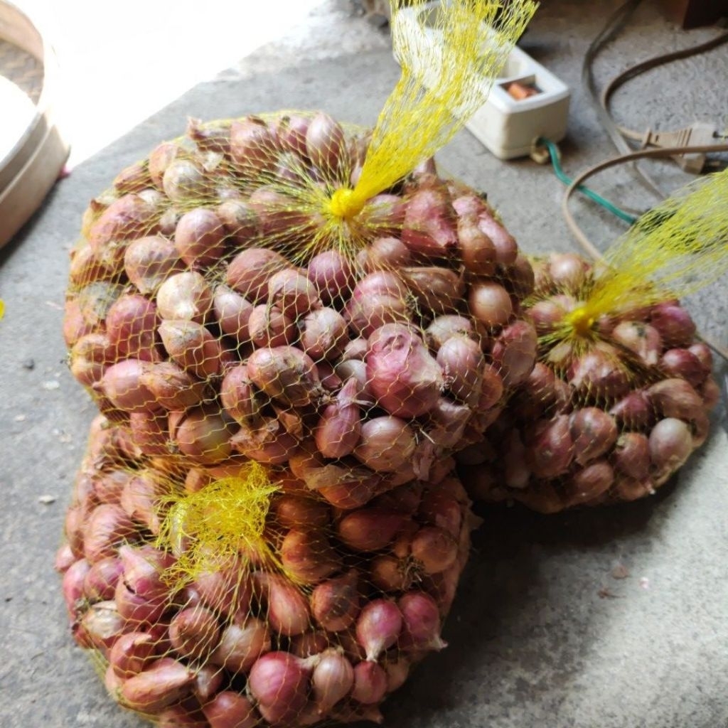 BAWANG MERAH NGANJUK