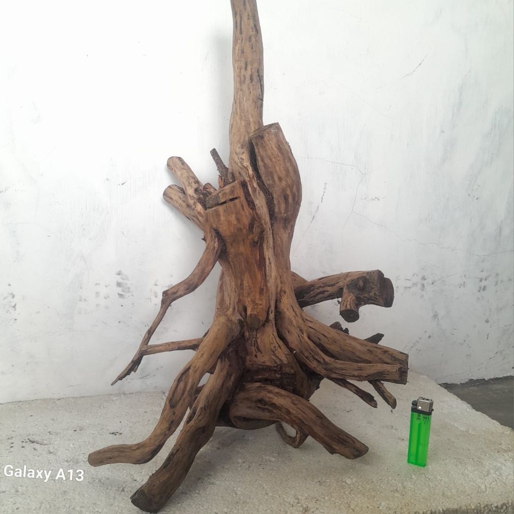 Kayu Aquascape - Kayu Santigi