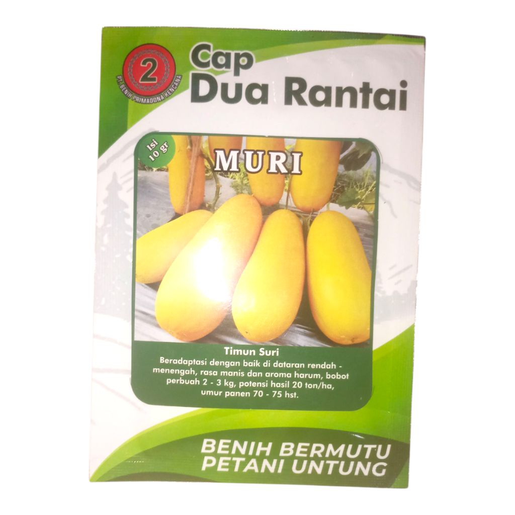 Benih Timun Suri Kuning 10 Gram Bibit Timun Suri