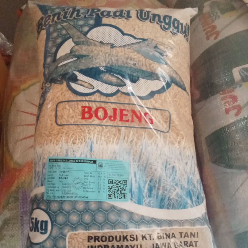 Benih padi  Bojeng