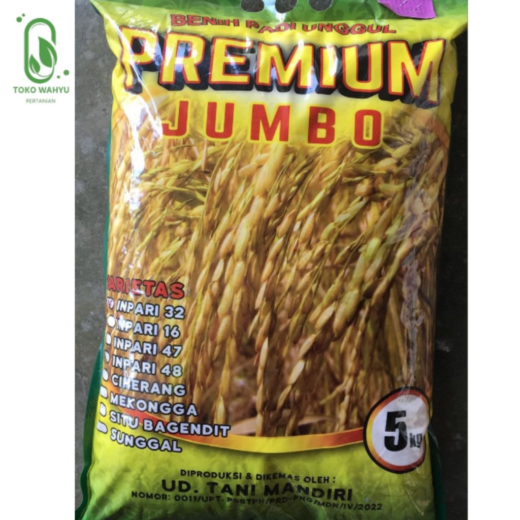 BENIH PADI INPARI 32 JUMBO PREMIUM SS //5KG