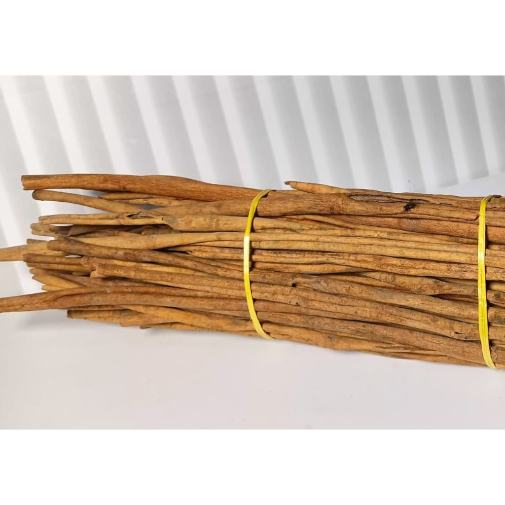 KAYU MANIS ASALAN LONJOR KERINCI