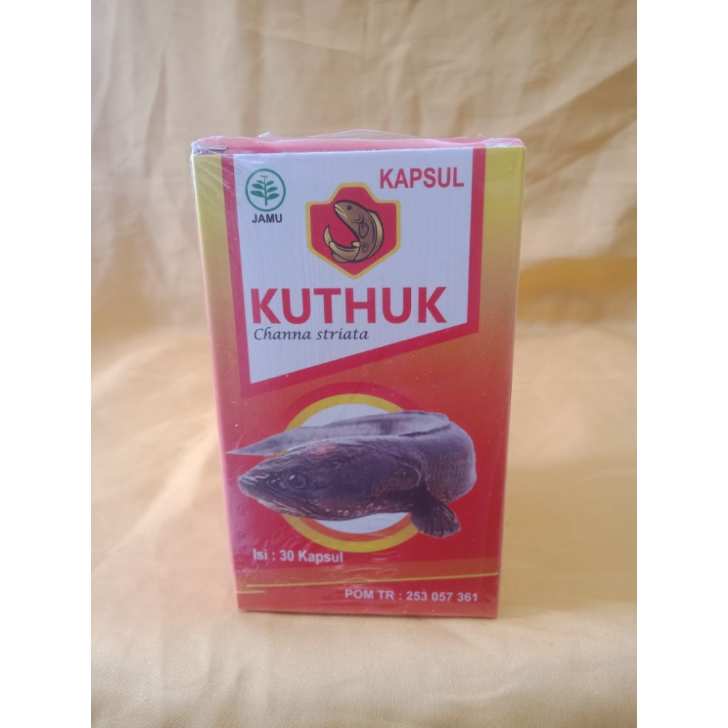 Kapsul Kutuk Channa Striata – Ekstrak Ikan Gabus Lentera
