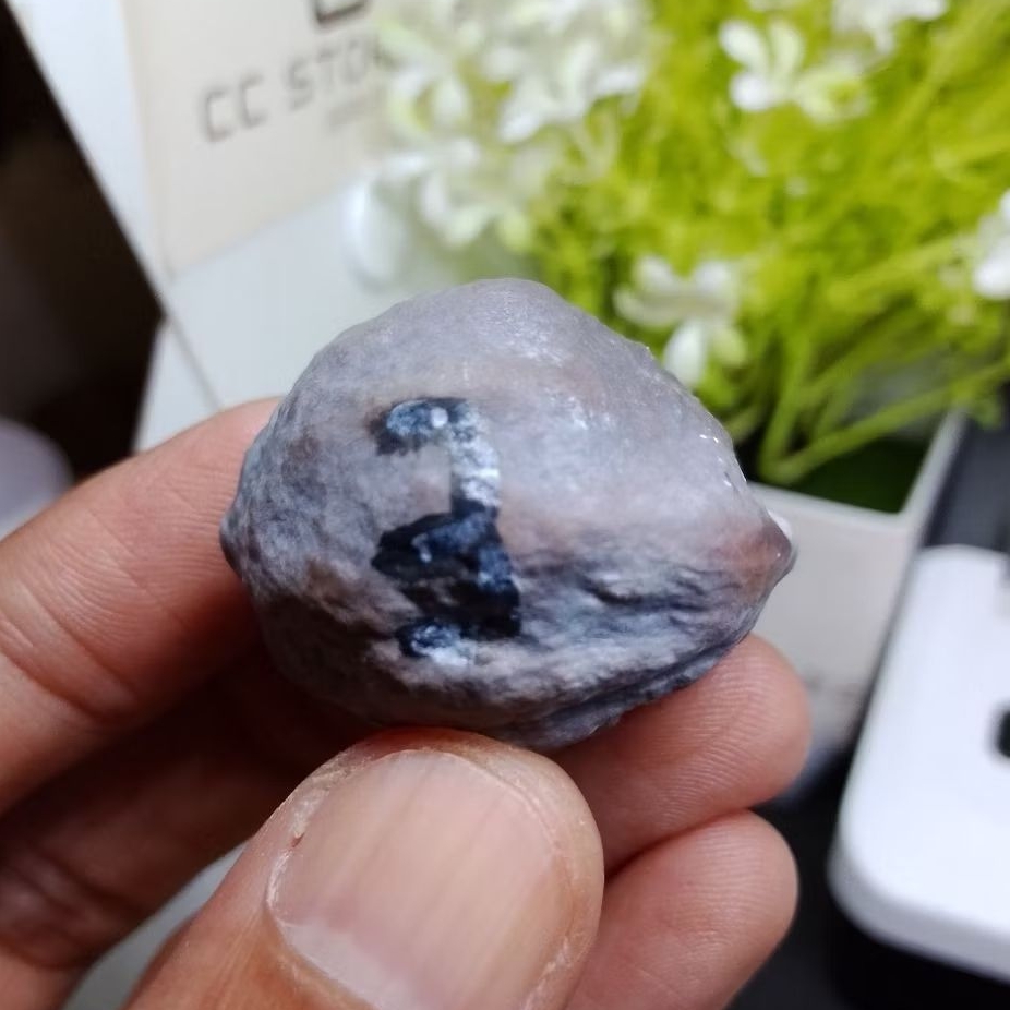 Muncang Adu ETI GIANT kode 3