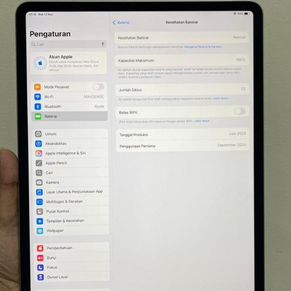 iPad iPed Air M2 11" 13 inch 128GB Wfi Only Second Original
