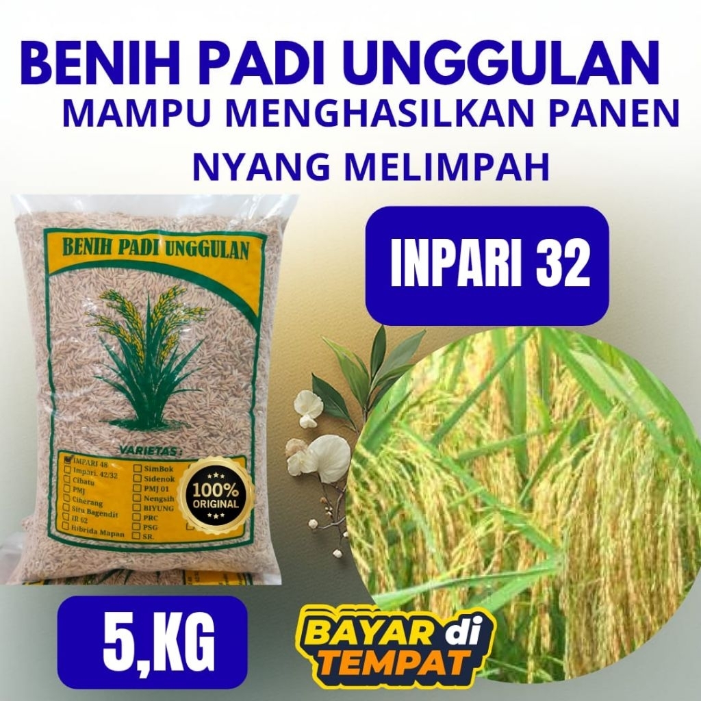 benih padi unggulan super Inpari 32 kemasan 5kg benih padi Inpari 32