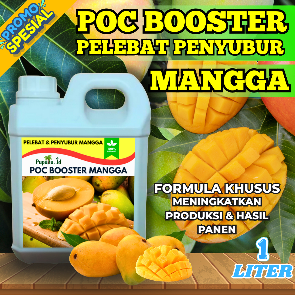 Pupuk booster mangga cepat berbuah lebat manis |  penyubur pelebat buah mangga | anti rontok dan lay