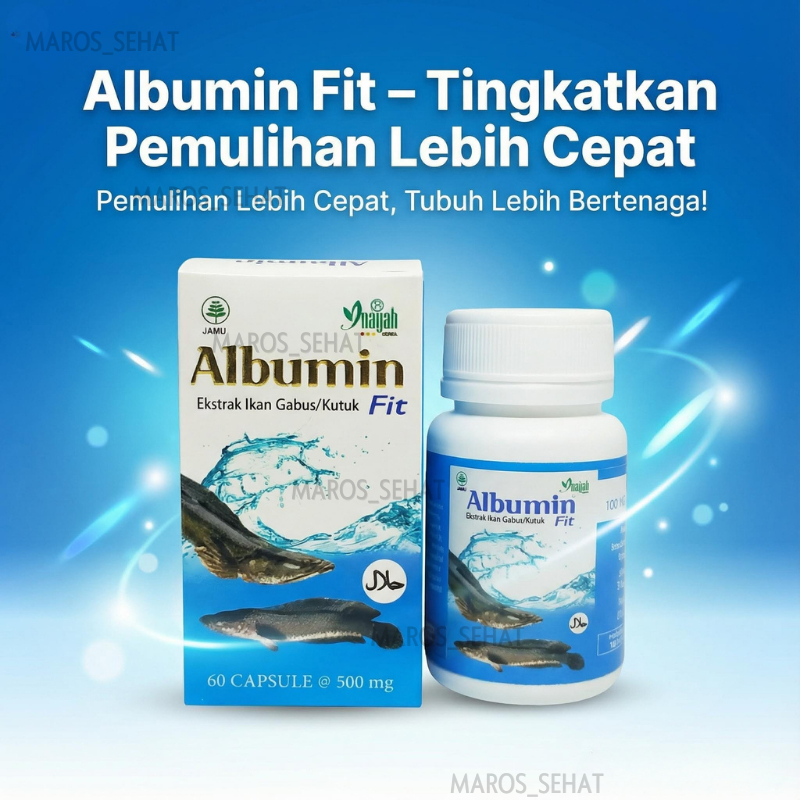 ALBUMIN FIT ORIGINAL KAPSUL PIL IKAN GABUS Herbal Penyembuhan Luka PREMIUM 5X CEPAT SEMBUH