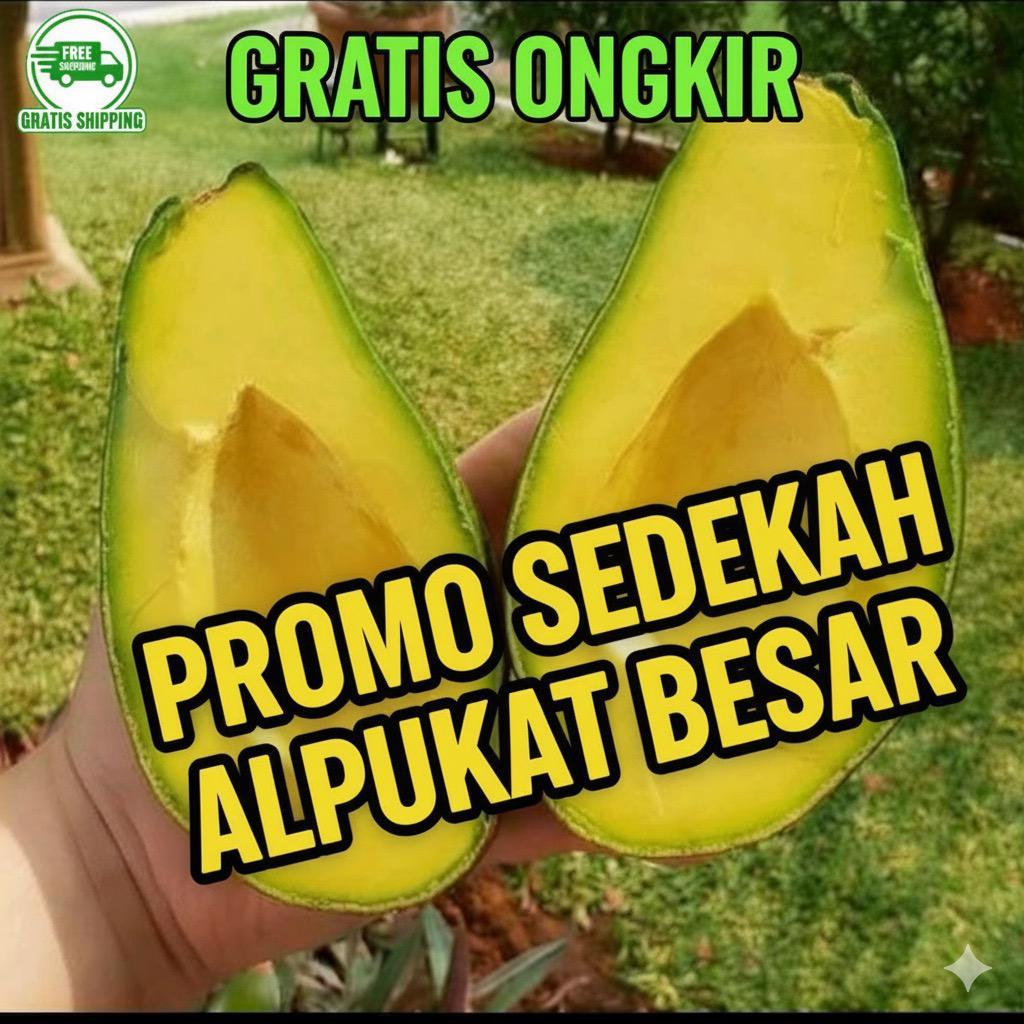 PROMO SEDEKAH ALPUKAT MENTEGA LOCAL ISI 3-5 ASLI JAWABARAT BANDUNG GARUT