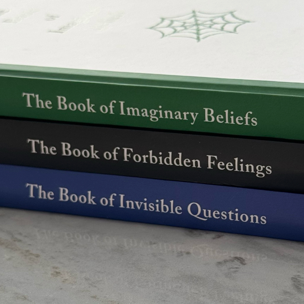 Lala bohang - The Book of Invisible Questions, Forbidden Feelings, Imaginary Beliefs Preloved Good C