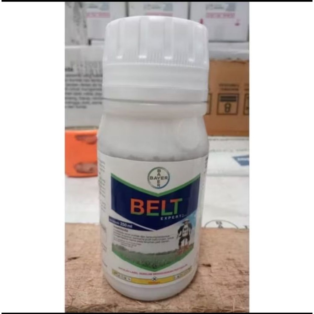 BELT Expert 480SC 250ML