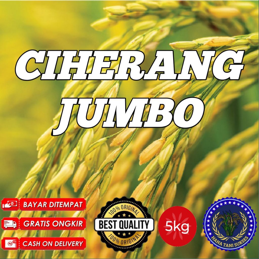 Benih padi Bibit Padi CIHERANG JUMBO Berkualitas Dalam Kemasan 5Kg
