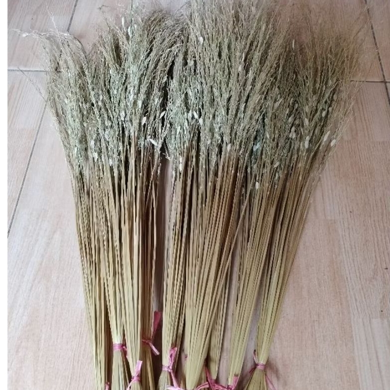 Sapu atau Merang Padi Ketan Hitam Satu Ikat