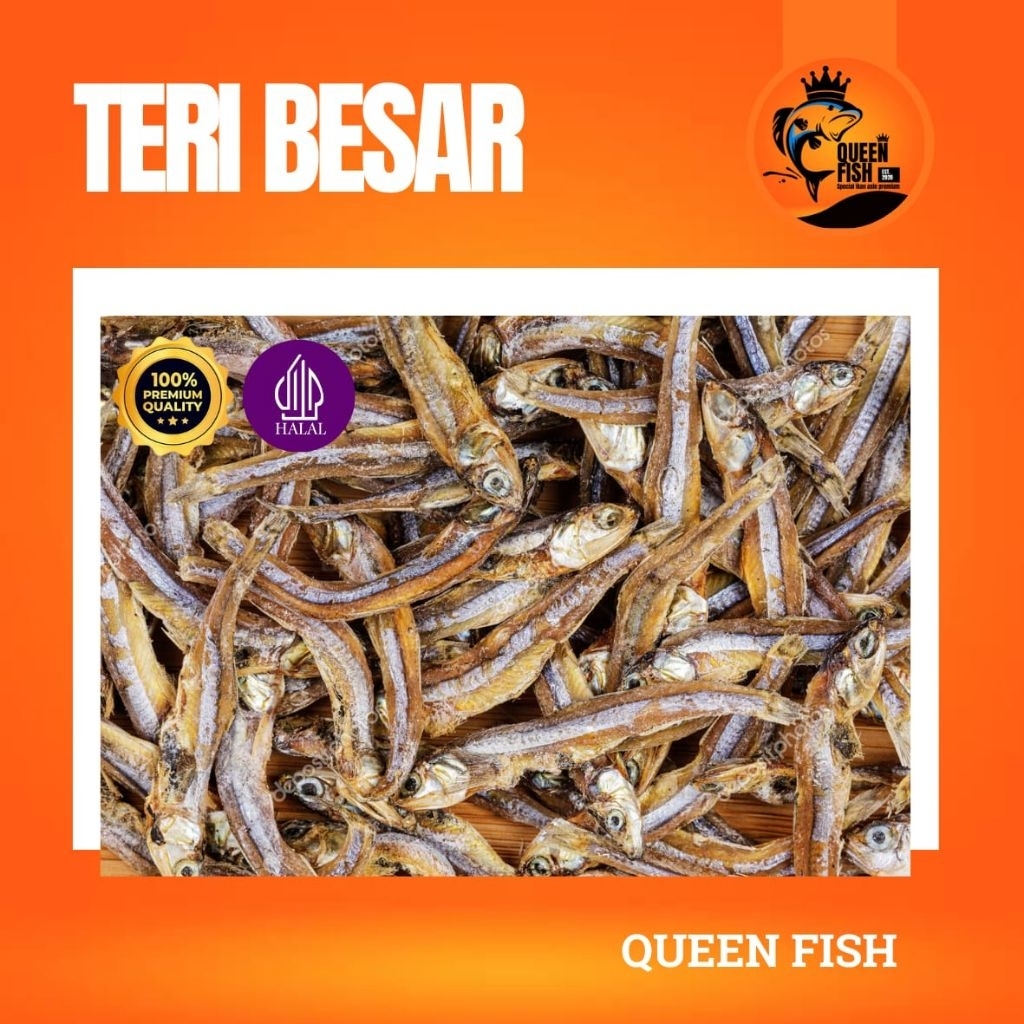 IKAN TERI TAWAR BESAR KERING QUEEN FISH SPESIAL IKAN ASIN PREMIUM