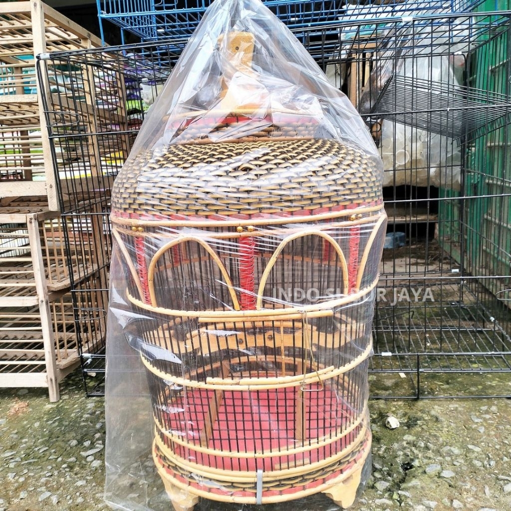 Sangkar Burung Perkutut Rajut Rotan Mahkota Diameter 35 Cm