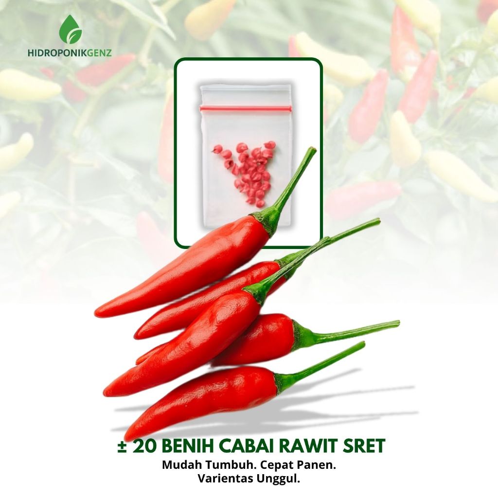 20 Benih Cabe Rawit Sret Unggul