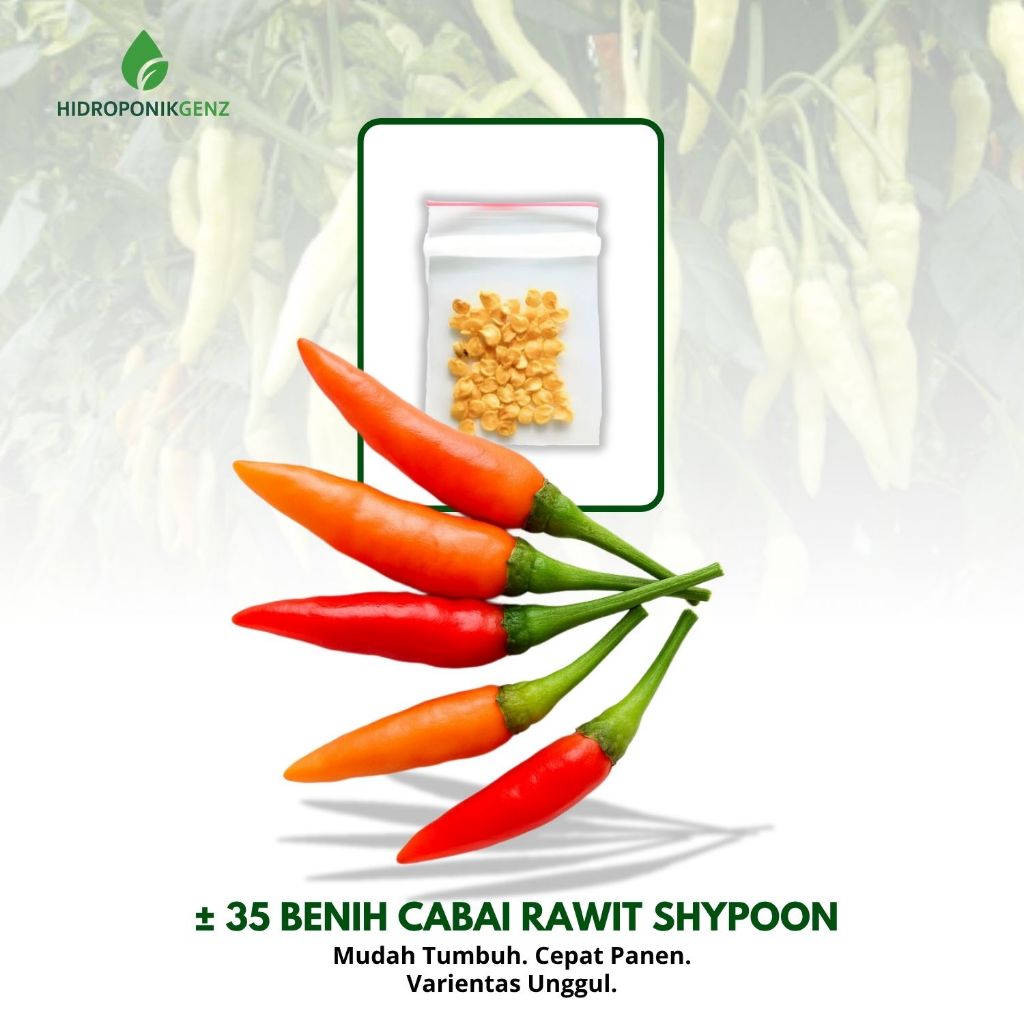 5 Benih Cabe Rawit Shypoon Hibrida