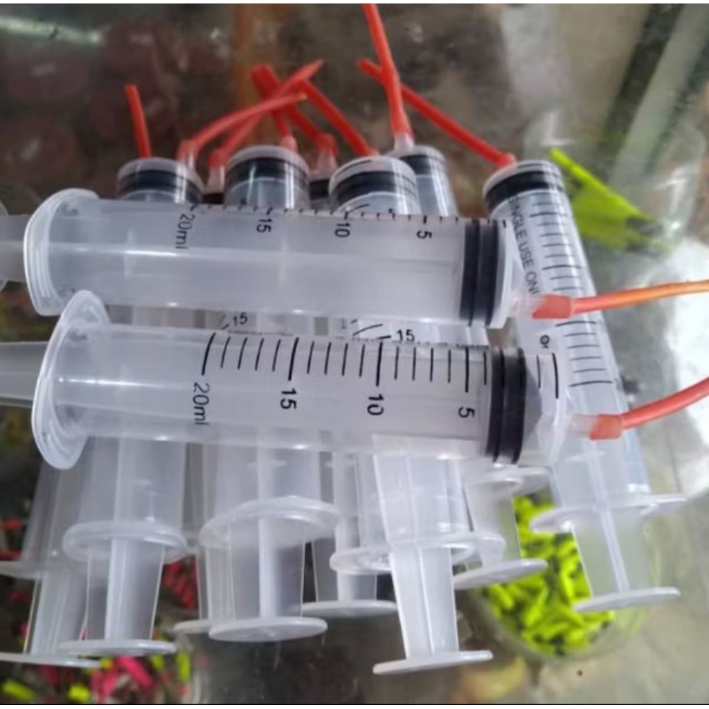 sepet lolohan burung