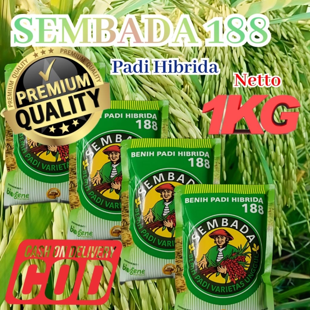Bibit benih padi Hibrida Sembada 188 berkualitas super kemasan 1kg