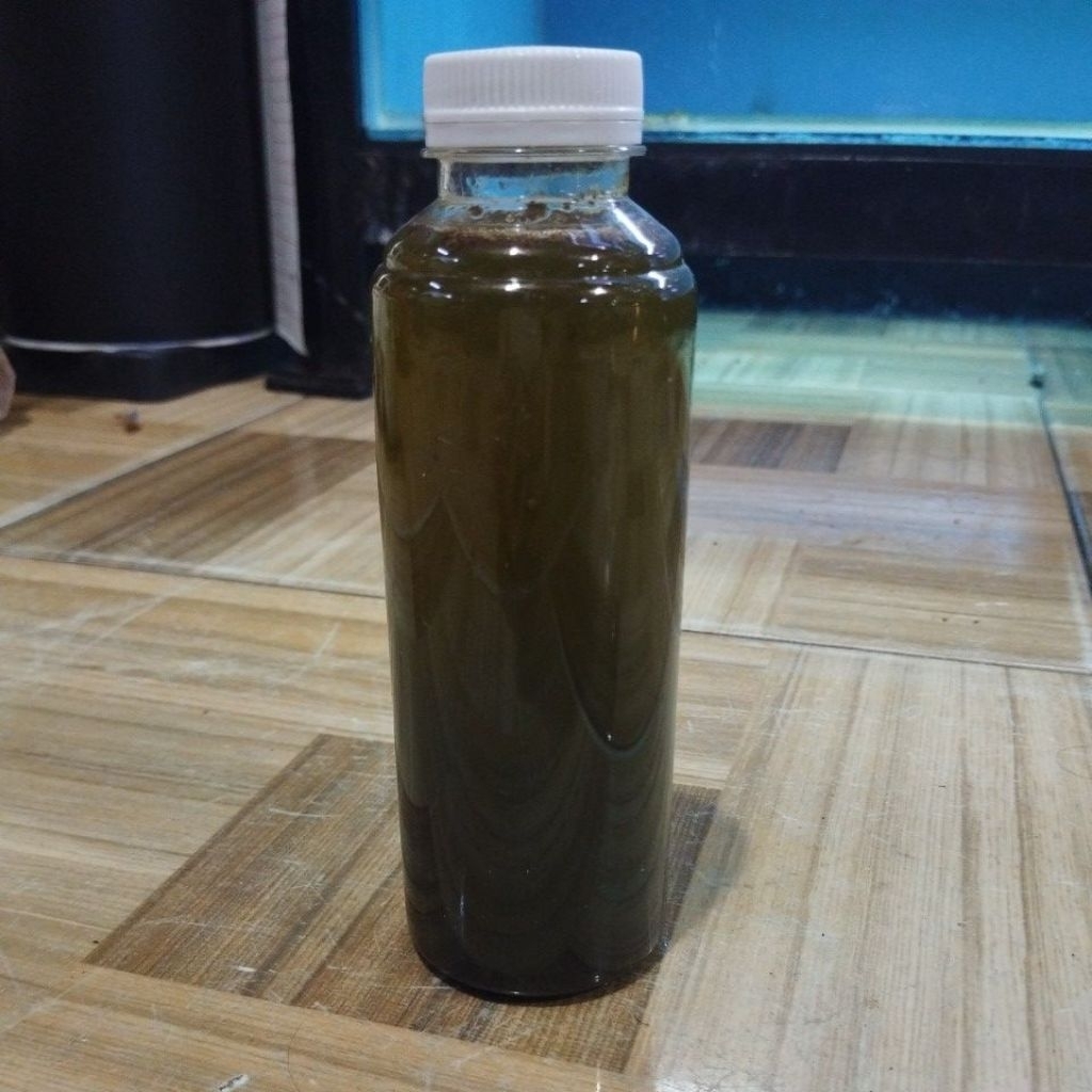 OXYGENIC REPACK BAKTERI STARTER CAIR 250ml