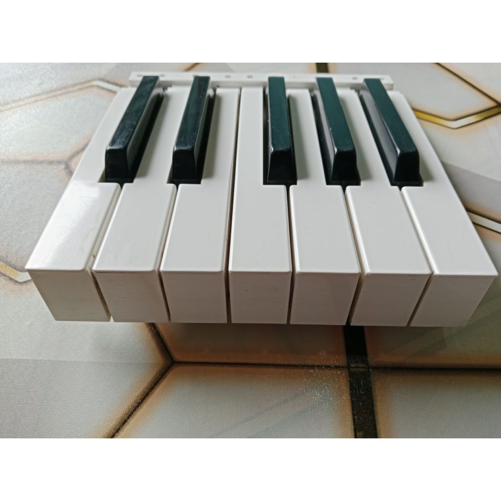 Satu Oktaf Tuts hitam putih Keyboard CASIO CTK-5000, 6000,6250,7000,7200 WK-6600, 7600 DAN MZ-X300, 