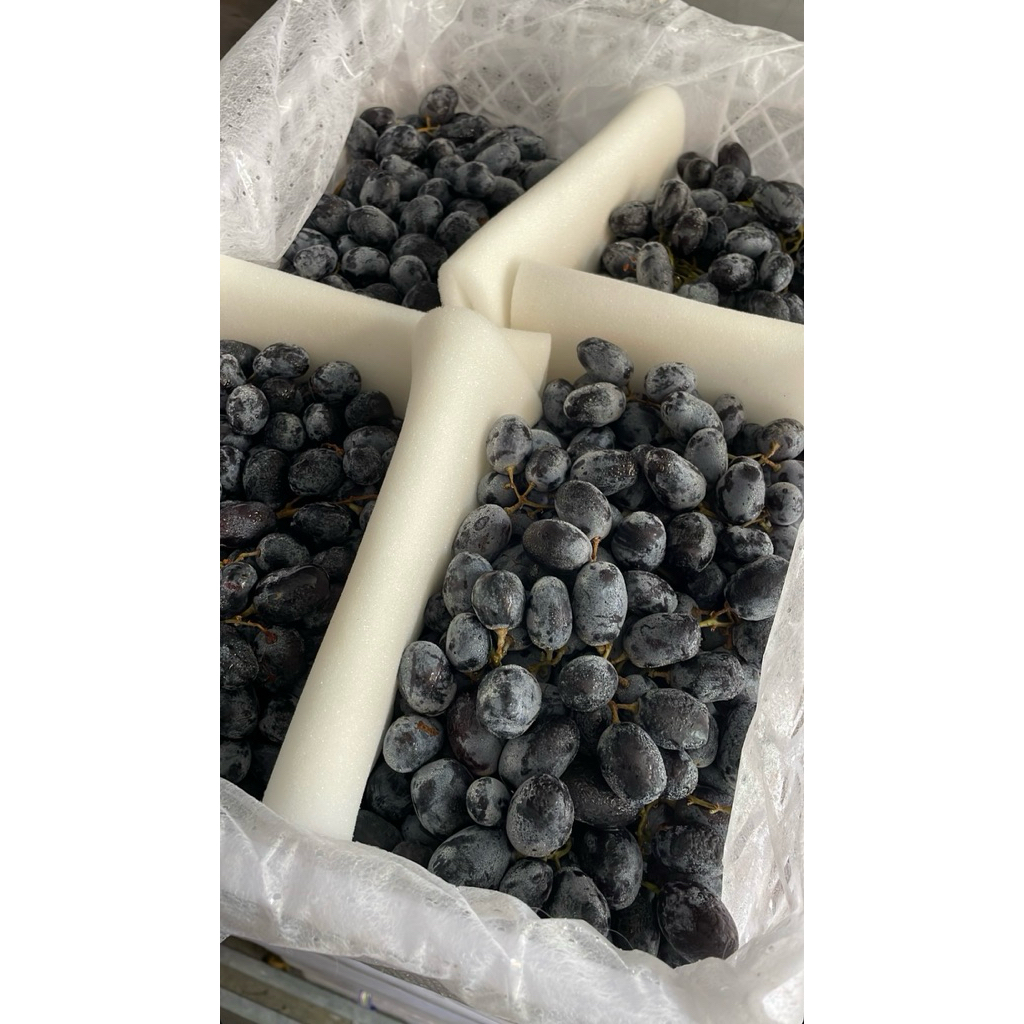 Buah Anggur hitam | Anggur | buah segar