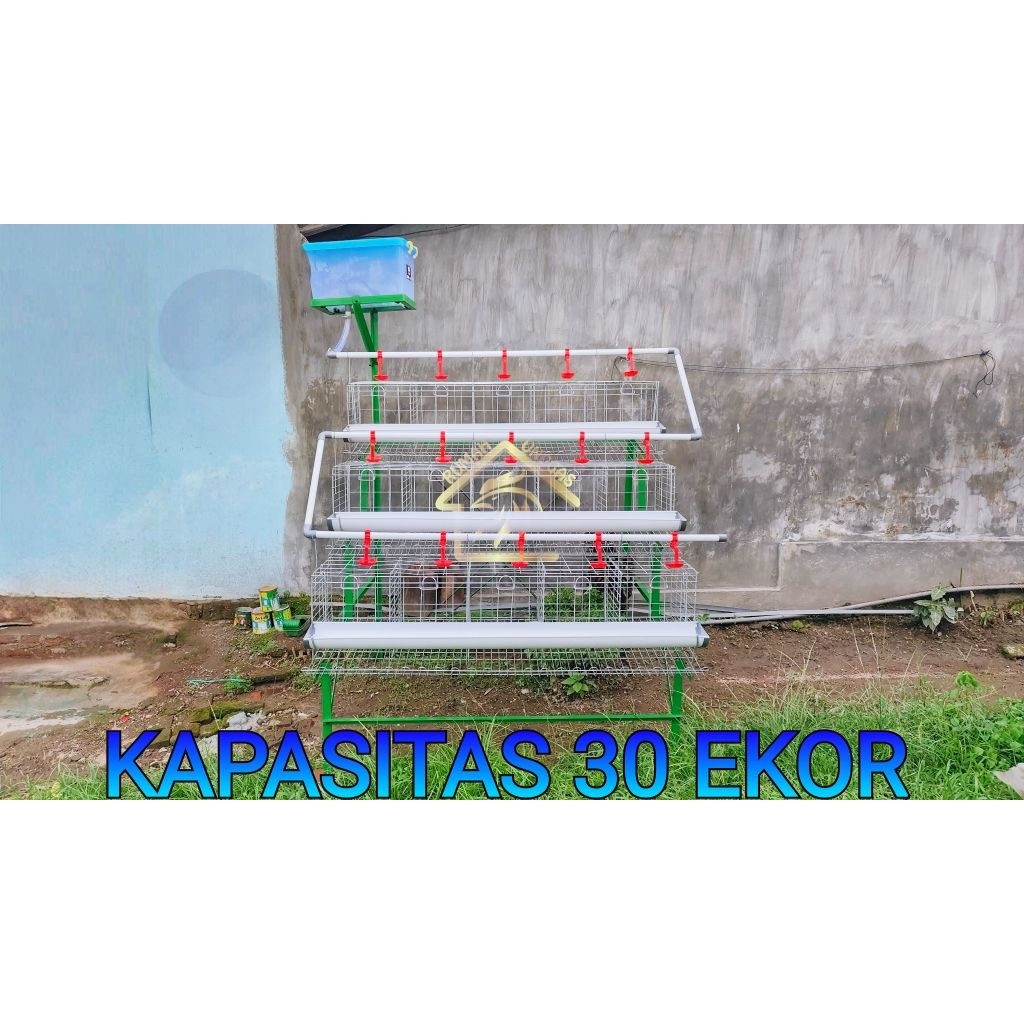 KANDANG AYAM PETELUR SUSUN 3 LENGKAP KANDANG LAYER FULL SET