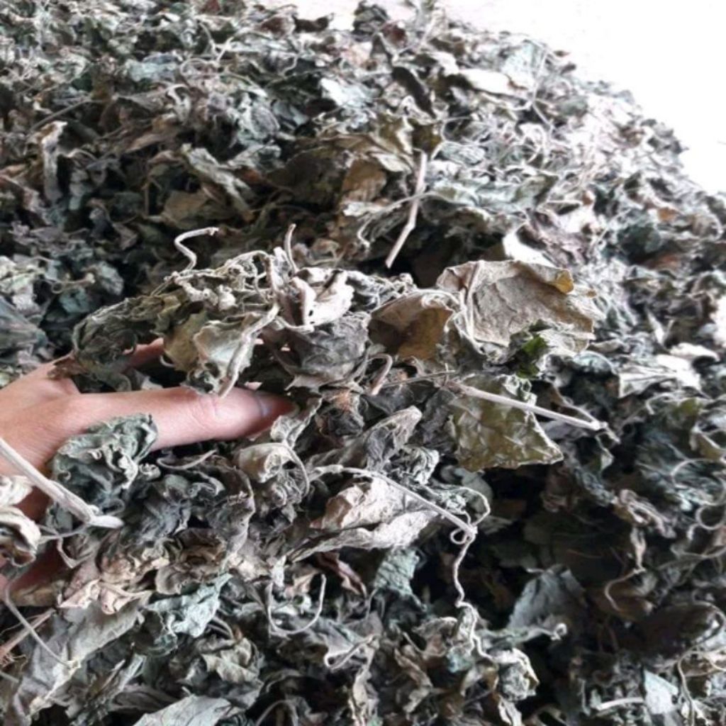 Daun Nilam Kering Premium