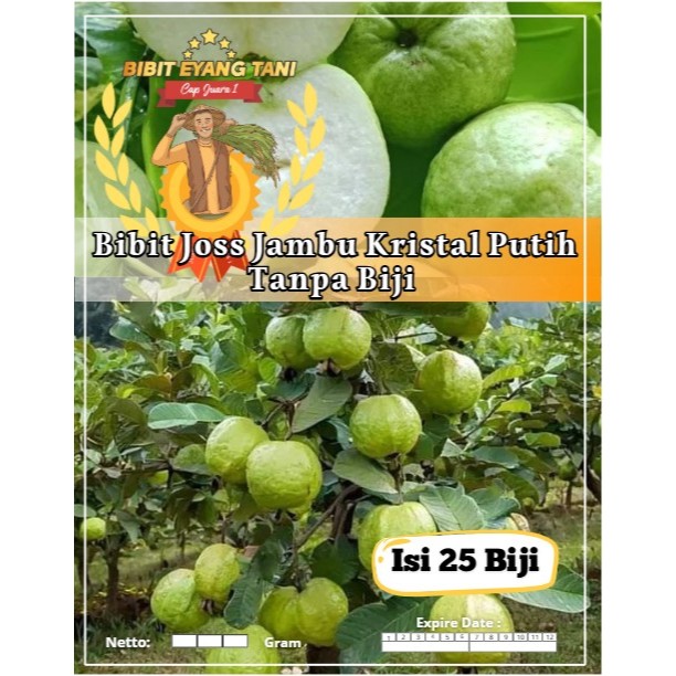 Bibit Joss Jambu Kristal Putih Tanpa Biji | Biji Benih Jambu Kristal | Jambu Kristal