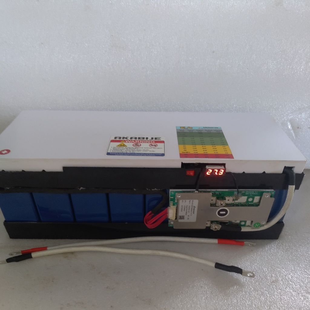 lifepo4 Cell pendek 8s 24v 100a plus BMS