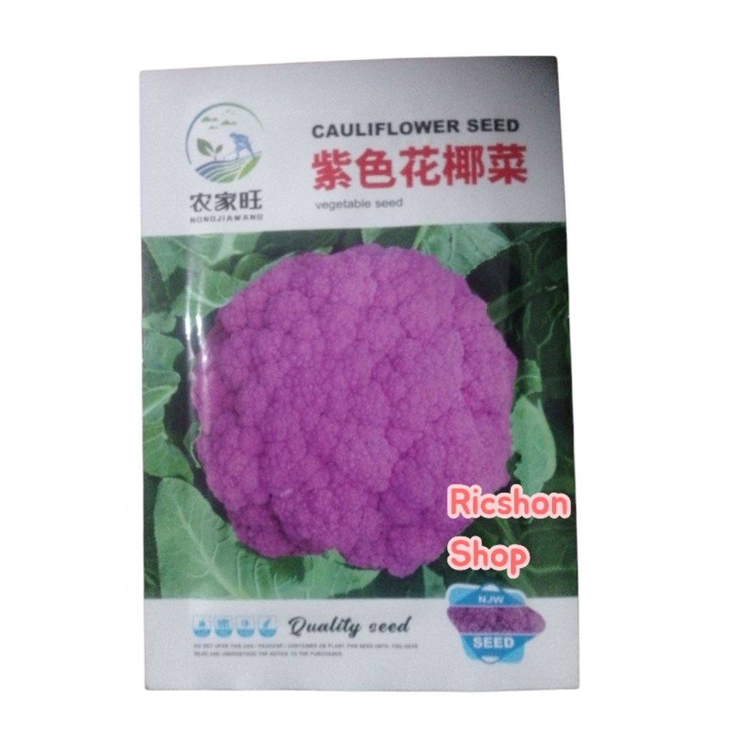Benih kembang kol ungu cina