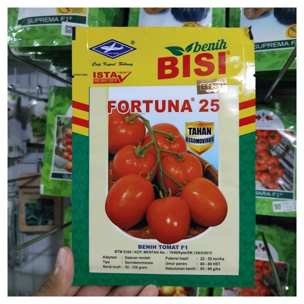 BENIH TOMAT FORTUNA 25 F1 10 GRAM