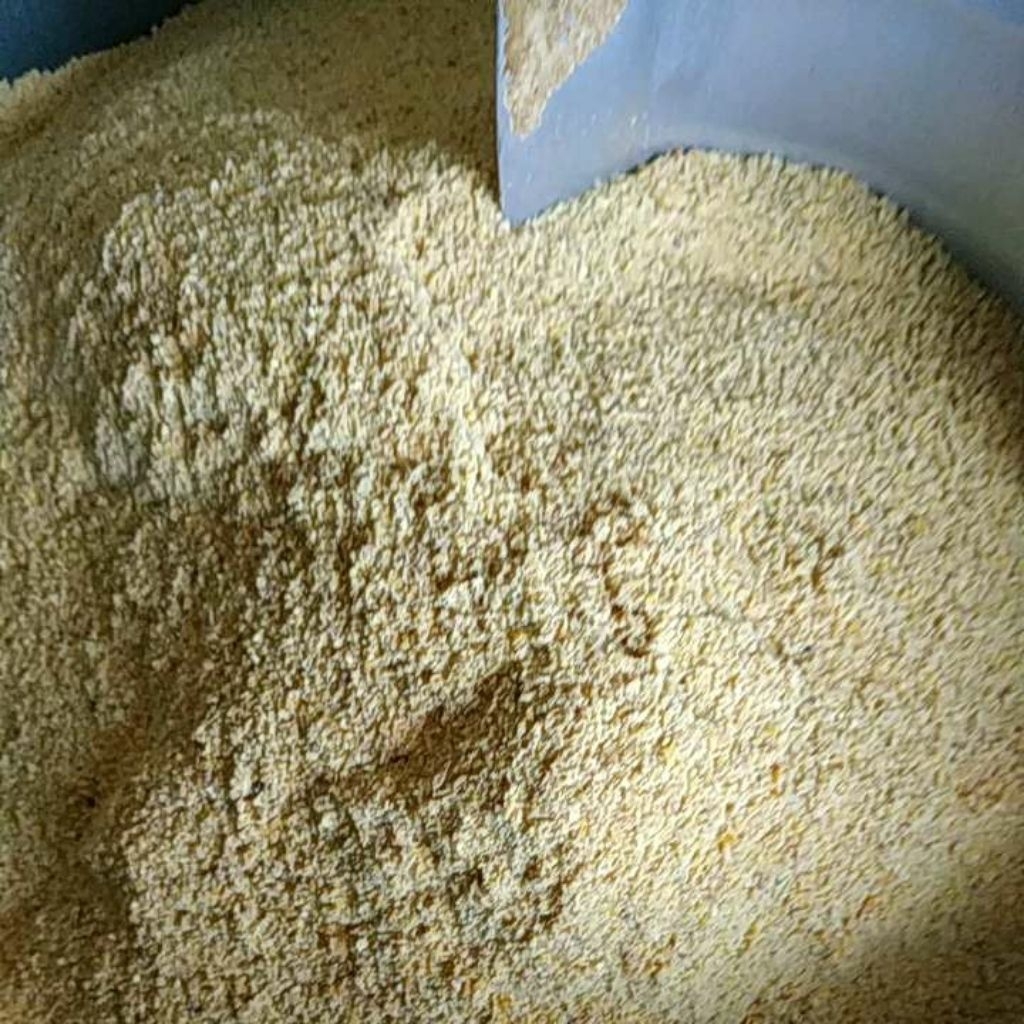 Pur Anak Ayam Baru Menetas (Doc) Gold coin A201M. Pakan ayam Halus. Kemasan 1 kg