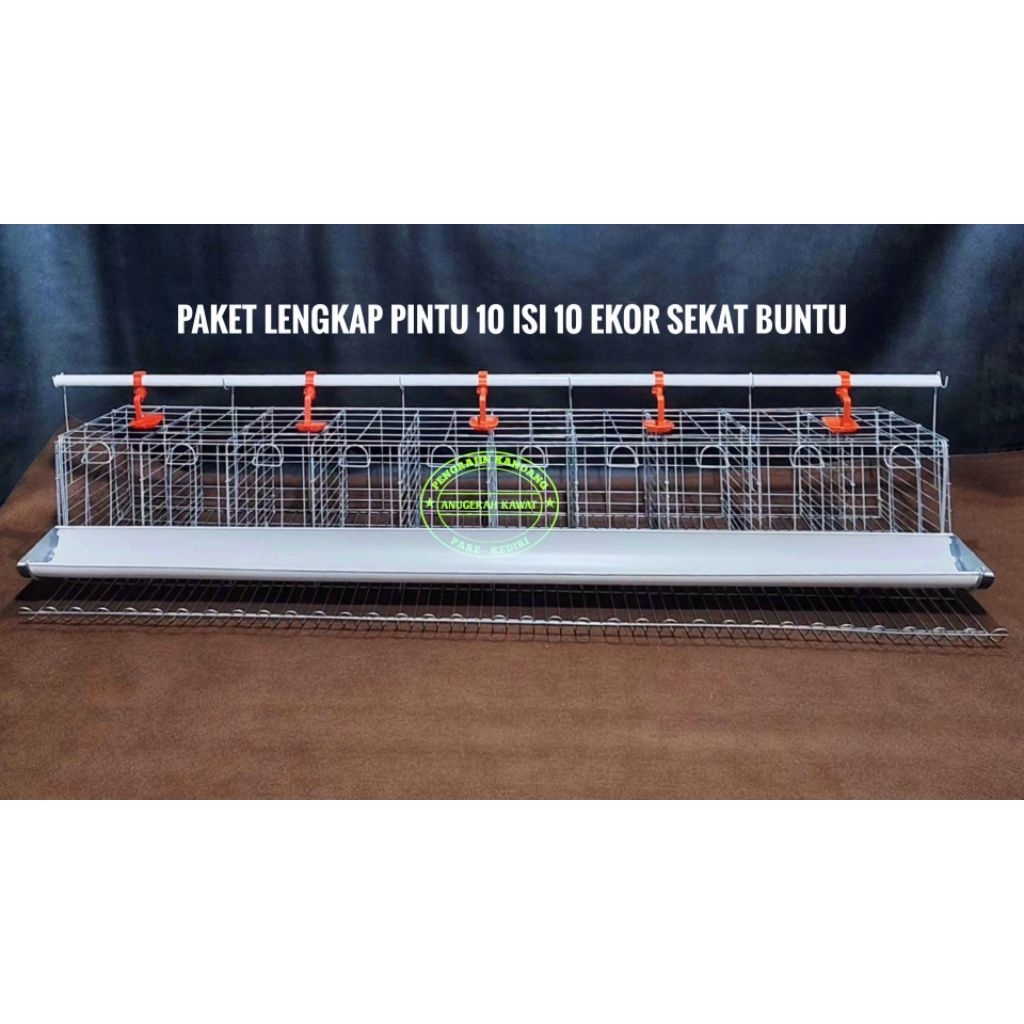 KANDANG GALVANIS PAKET LENGKAP FULL SET 10 PINTU LAYER AYAM PETELUR ISI 10 EKOR TINGGAL ISI AYAM