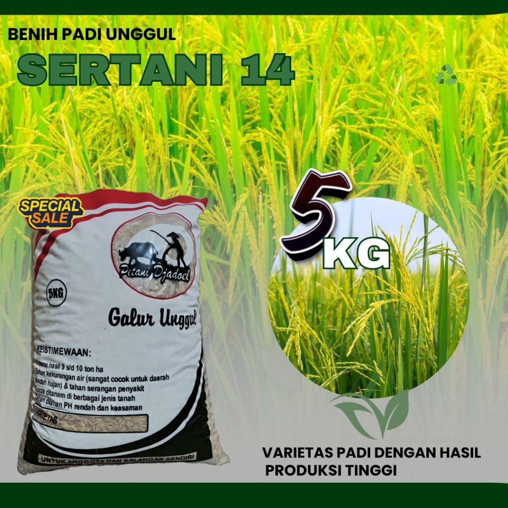 padi unggul sertani 14 benih padi unggul sertani 14 kemasan 5kg