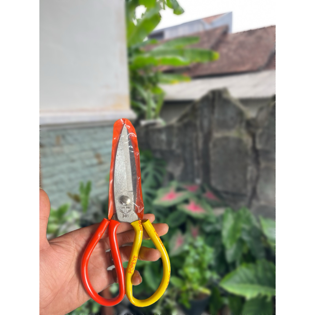 Gunting Kodok Popeye