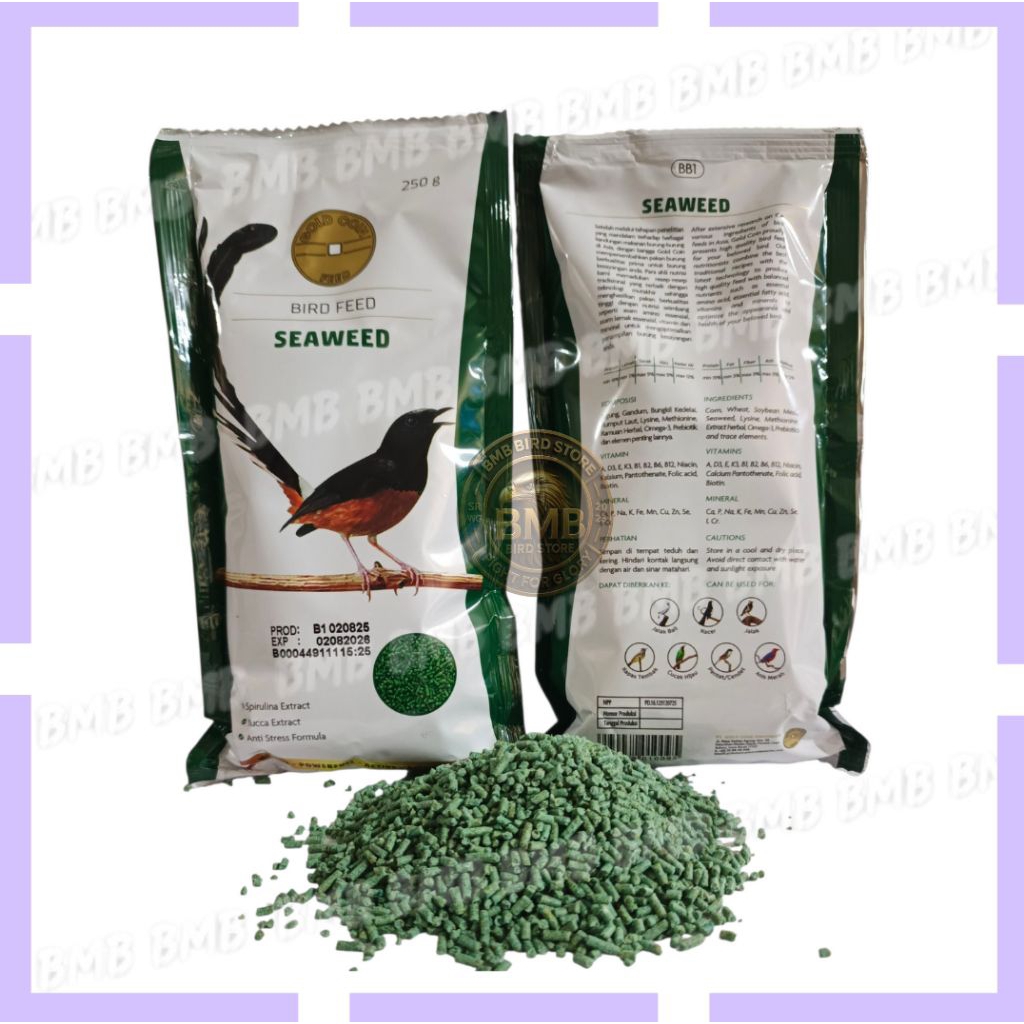 GOLD COIN SEEWEAD 250 gram UNTUK MURAI BATU, KACER, PENTET, ANIS MERAG, ANIS KEMBANG