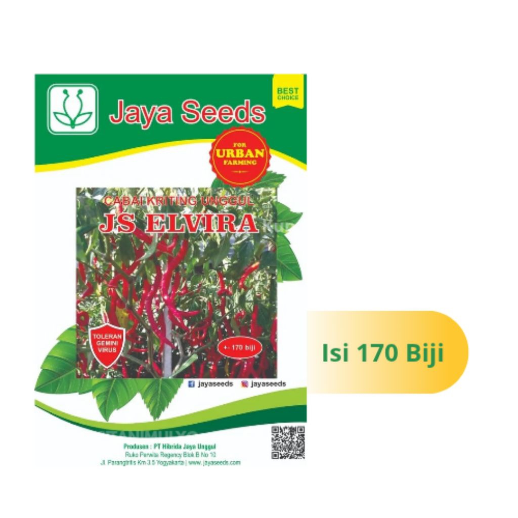Benih Cabai Keriting Tahan Virus Kemasan 170 Biji