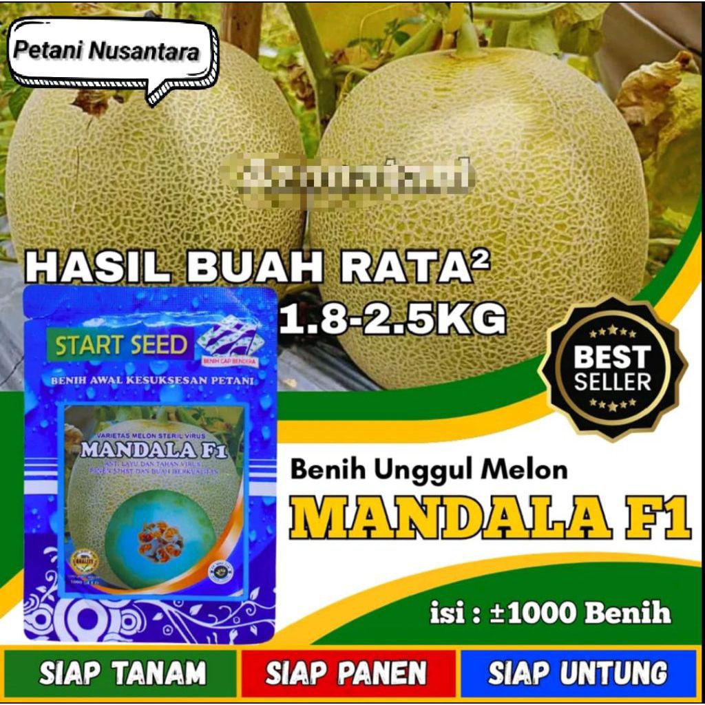 Benih melon MANDALA F1 Benih unggul original madu
