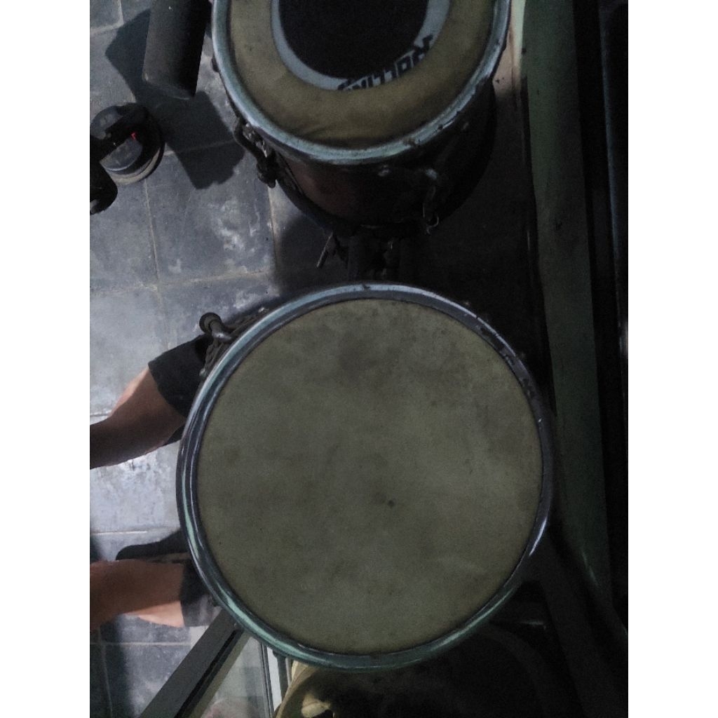 Ketipung Kayu Nangka