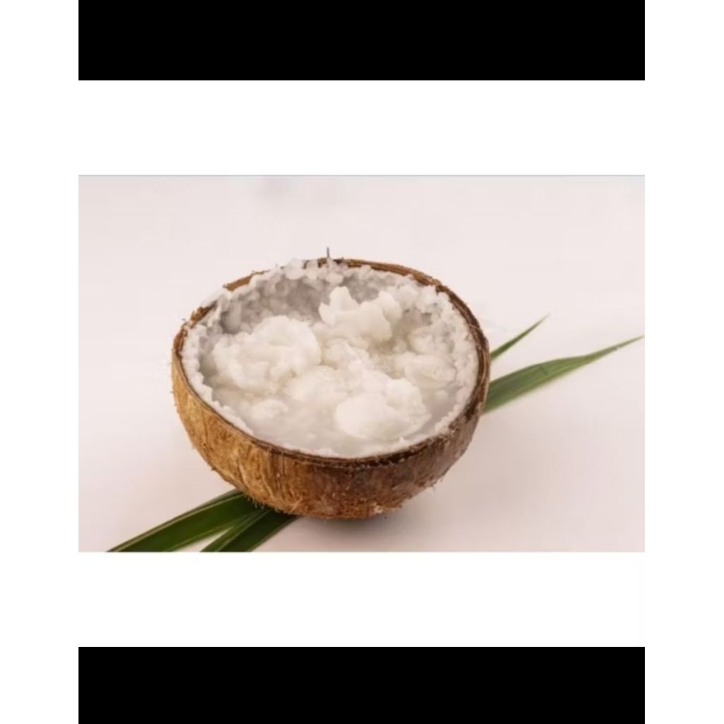 Kelapa kopyor/kelapa puan asli dari ujung kulon